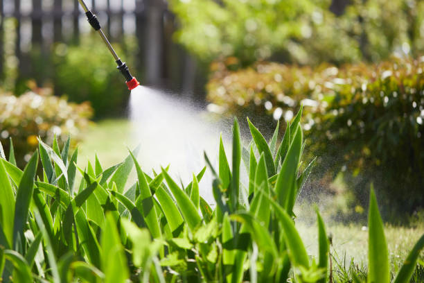 Tamper-Resistant Bait Stations for Rodents in Merced