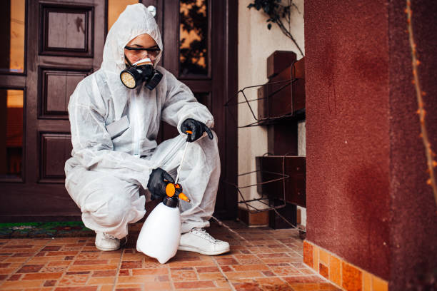 Attic and Crawl Space Rodent Treatment in Merced