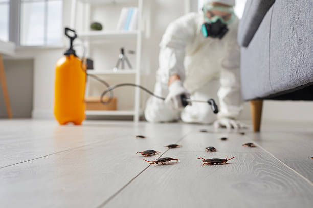 Commercial Rodent Management in Merced